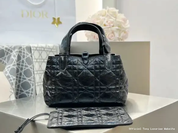 Tony Luxuries Toujours diro Bag-23*15*15CM Small 0403